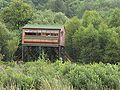 bird hide3